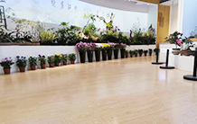 北京世园会实木复合地板案例