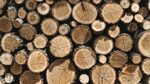 木地板厂家生产中的木材保养 